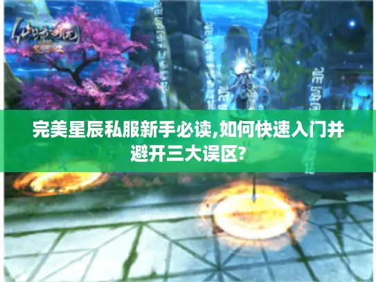 完美星辰私服新手必读,如何快速入门并避开三大误区?