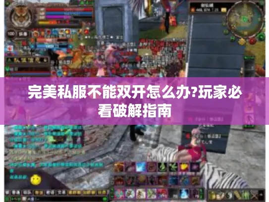 完美私服不能双开怎么办?玩家必看破解指南