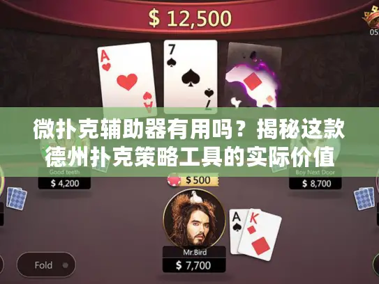 微扑克辅助器有用吗？揭秘这款德州扑克策略工具的实际价值