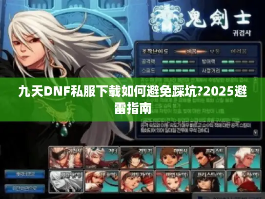 九天DNF私服下载如何避免踩坑?2025避雷指南