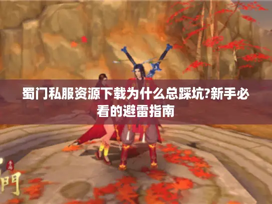 蜀门私服资源下载为什么总踩坑?新手必看的避雷指南