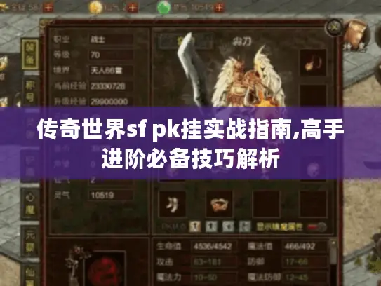 传奇世界sf pk挂实战指南,高手进阶必备技巧解析