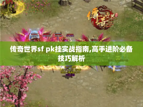 传奇世界sf pk挂实战指南,高手进阶必备技巧解析