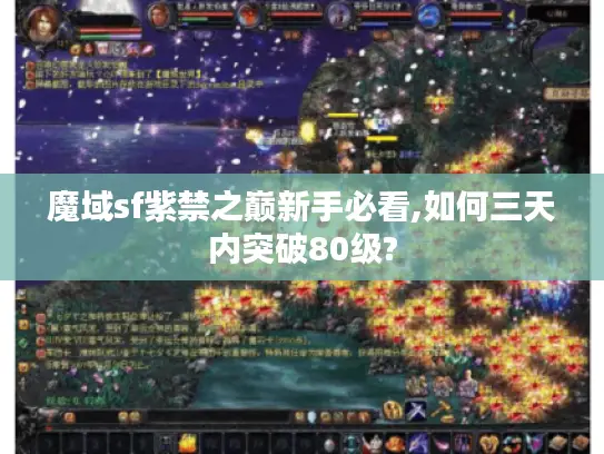 魔域sf紫禁之巅新手必看,如何三天内突破80级?