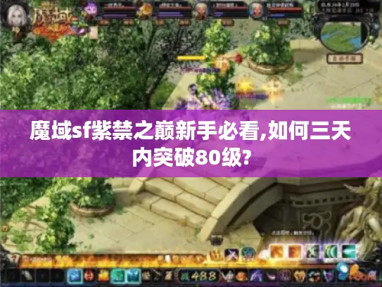 魔域sf紫禁之巅新手必看,如何三天内突破80级?