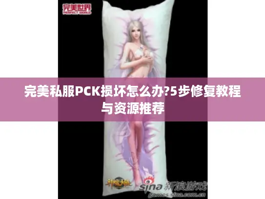 完美私服PCK损坏怎么办?5步修复教程与资源推荐