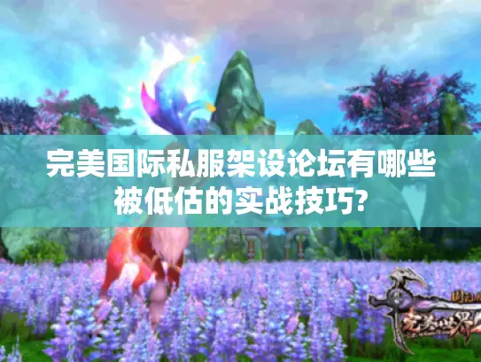完美国际私服架设论坛有哪些被低估的实战技巧?