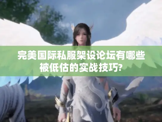 完美国际私服架设论坛有哪些被低估的实战技巧?