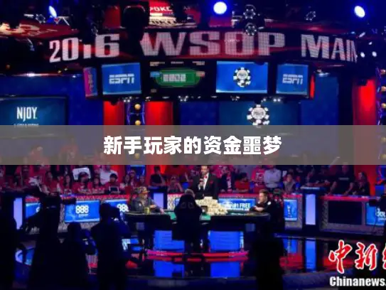 新手玩家的资金噩梦