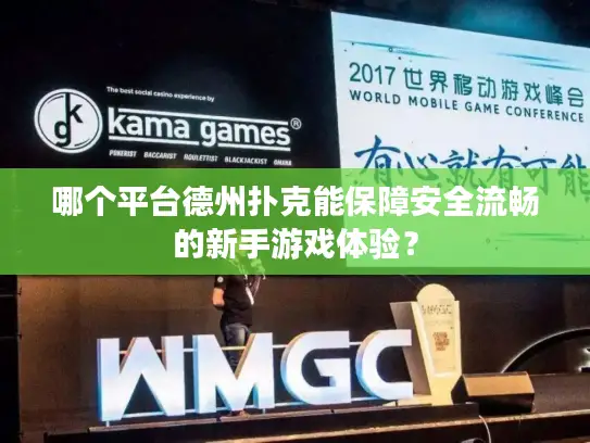 哪个平台德州扑克能保障安全流畅的新手游戏体验？