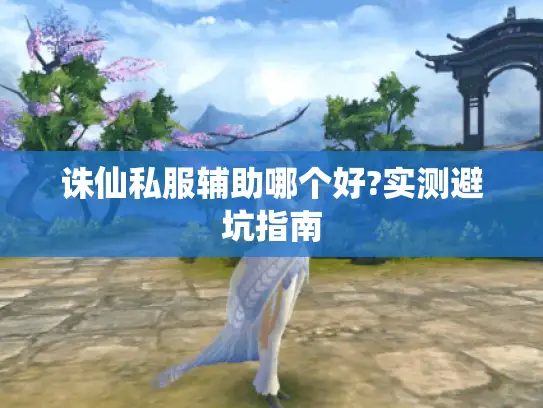 诛仙私服辅助哪个好?实测避坑指南