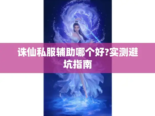 诛仙私服辅助哪个好?实测避坑指南