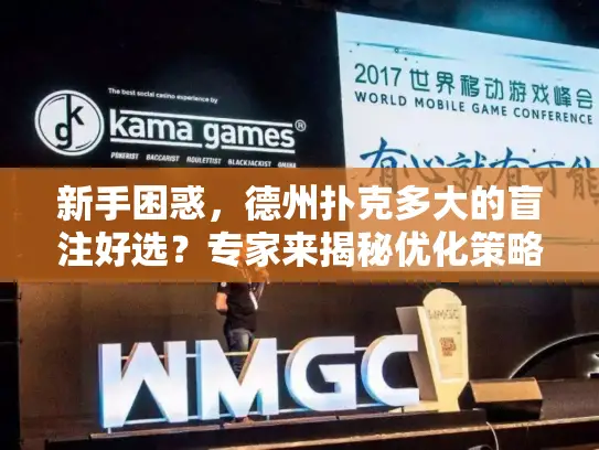 新手困惑，德州扑克多大的盲注好选？专家来揭秘优化策略