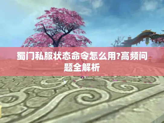 蜀门私服状态命令怎么用?高频问题全解析
