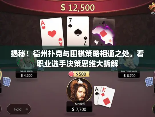 揭秘！德州扑克与围棋策略相通之处，看职业选手决策思维大拆解