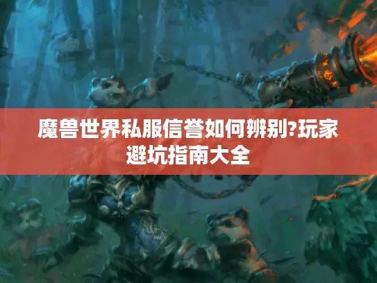 魔兽世界私服信誉如何辨别?玩家避坑指南大全