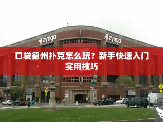 口袋德州扑克怎么玩?新手快速入门实用技巧 口袋德州扑克怎么玩?新手快速入门实用技巧