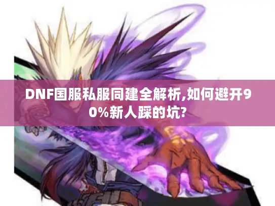 DNF国服私服同建全解析,如何避开90%新人踩的坑?