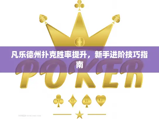 凡乐德州扑克胜率提升，新手进阶技巧指南
