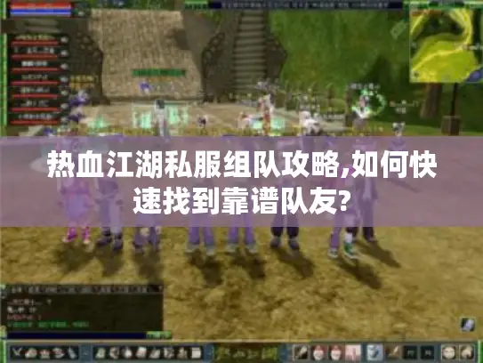 热血江湖私服组队攻略,如何快速找到靠谱队友?