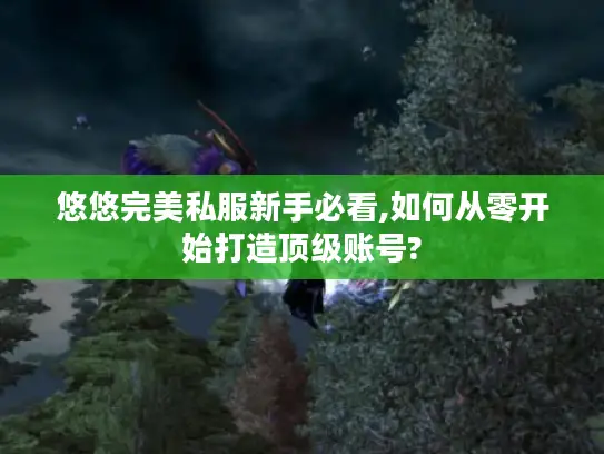 悠悠完美私服新手必看,如何从零开始打造顶级账号?