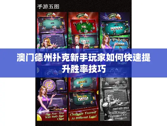 澳门德州扑克新手玩家如何快速提升胜率技巧