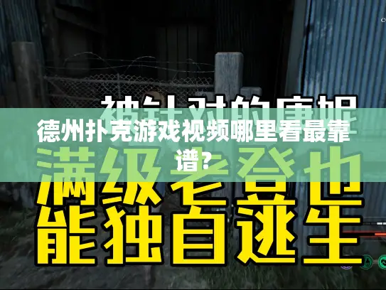 德州扑克游戏视频哪里看最靠谱? 德州扑克游戏视频哪里看最靠谱?