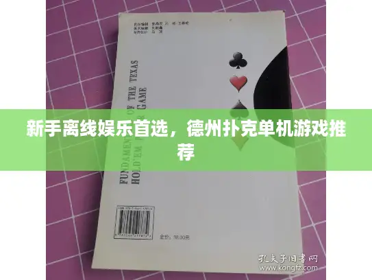 新手离线娱乐首选，德州扑克单机游戏推荐