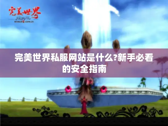 完美世界私服网站是什么?新手必看的安全指南