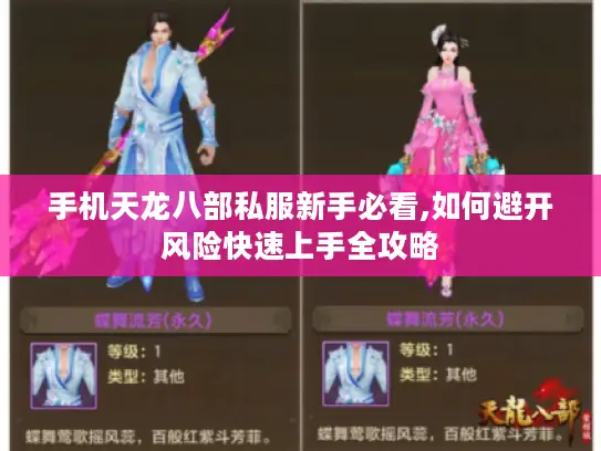 手机天龙八部私服新手必看,如何避开风险快速上手全攻略