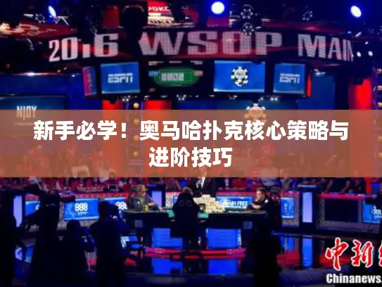新手必学！奥马哈扑克核心策略与进阶技巧