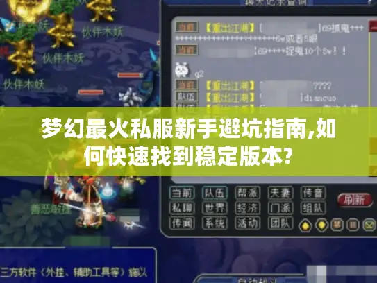 梦幻最火私服新手避坑指南,如何快速找到稳定版本?
