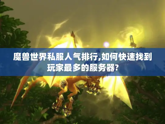 魔兽世界私服人气排行,如何快速找到玩家最多的服务器?
