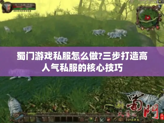 蜀门游戏私服怎么做?三步打造高人气私服的核心技巧