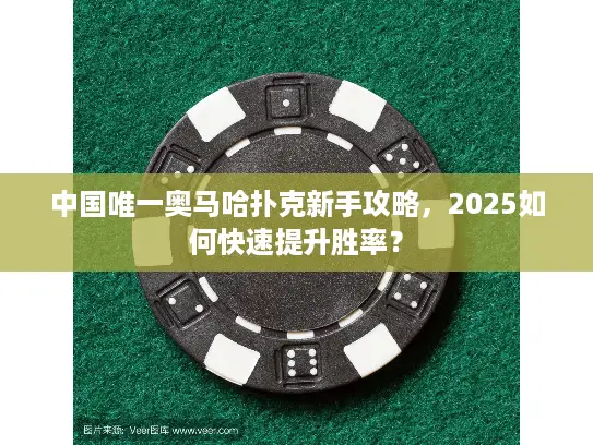 中国唯一奥马哈扑克新手攻略，2025如何快速提升胜率？