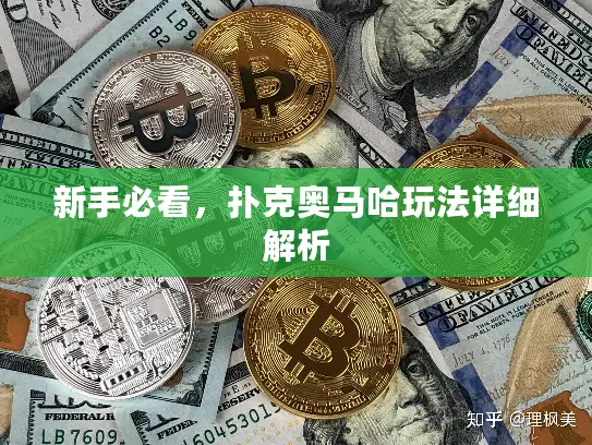 新手必看,扑克奥马哈玩法详细解析 新手必看,扑克奥马哈玩法详细解析