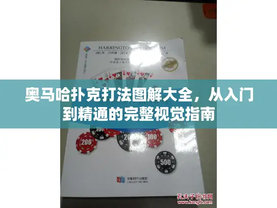 奥马哈扑克打法图解大全，从入门到精通的完整视觉指南