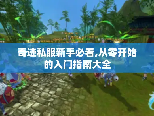 奇迹私服新手必看,从零开始的入门指南大全