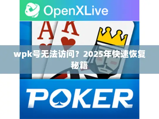 wpk号无法访问？2025年快速恢复秘籍