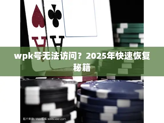 wpk号无法访问？2025年快速恢复秘籍