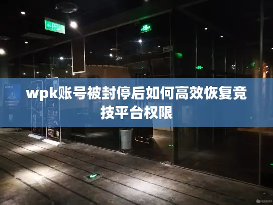 wpk账号被封停后如何高效恢复竞技平台权限