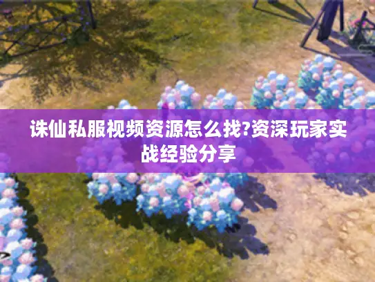 诛仙私服视频资源怎么找?资深玩家实战经验分享