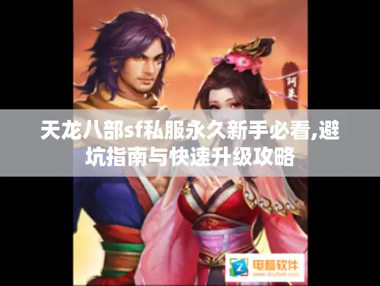 天龙八部sf私服永久新手必看,避坑指南与快速升级攻略