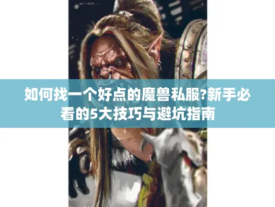 如何找一个好点的魔兽私服?新手必看的5大技巧与避坑指南
