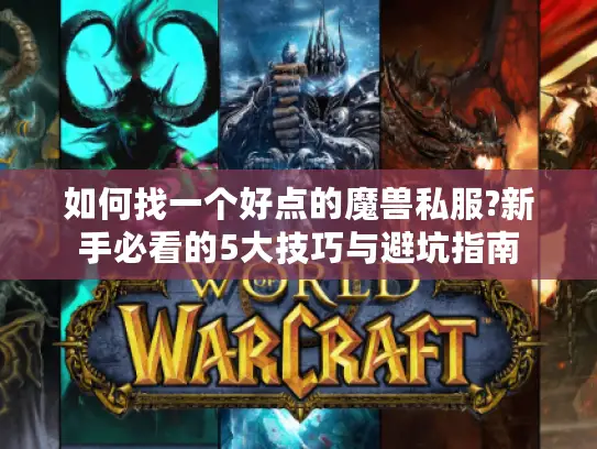 如何找一个好点的魔兽私服?新手必看的5大技巧与避坑指南