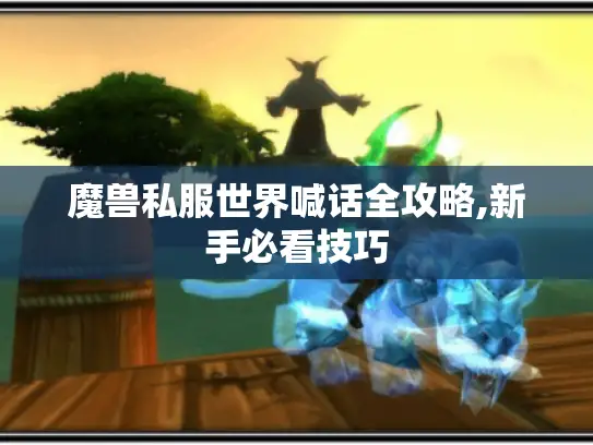魔兽私服世界喊话全攻略,新手必看技巧