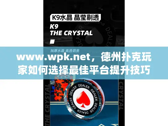 www.wpk.net，德州扑克玩家如何选择最佳平台提升技巧？