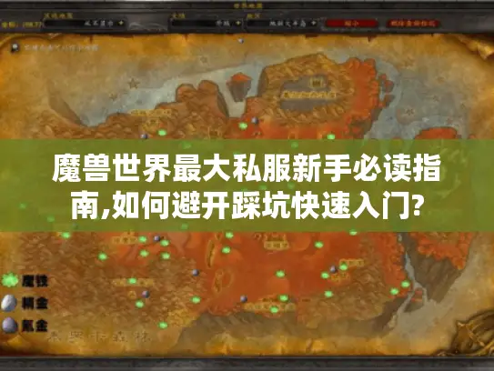 魔兽世界最大私服新手必读指南,如何避开踩坑快速入门?