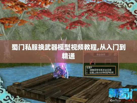 蜀门私服换武器模型视频教程,从入门到精通