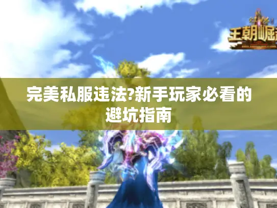 完美私服违法?新手玩家必看的避坑指南